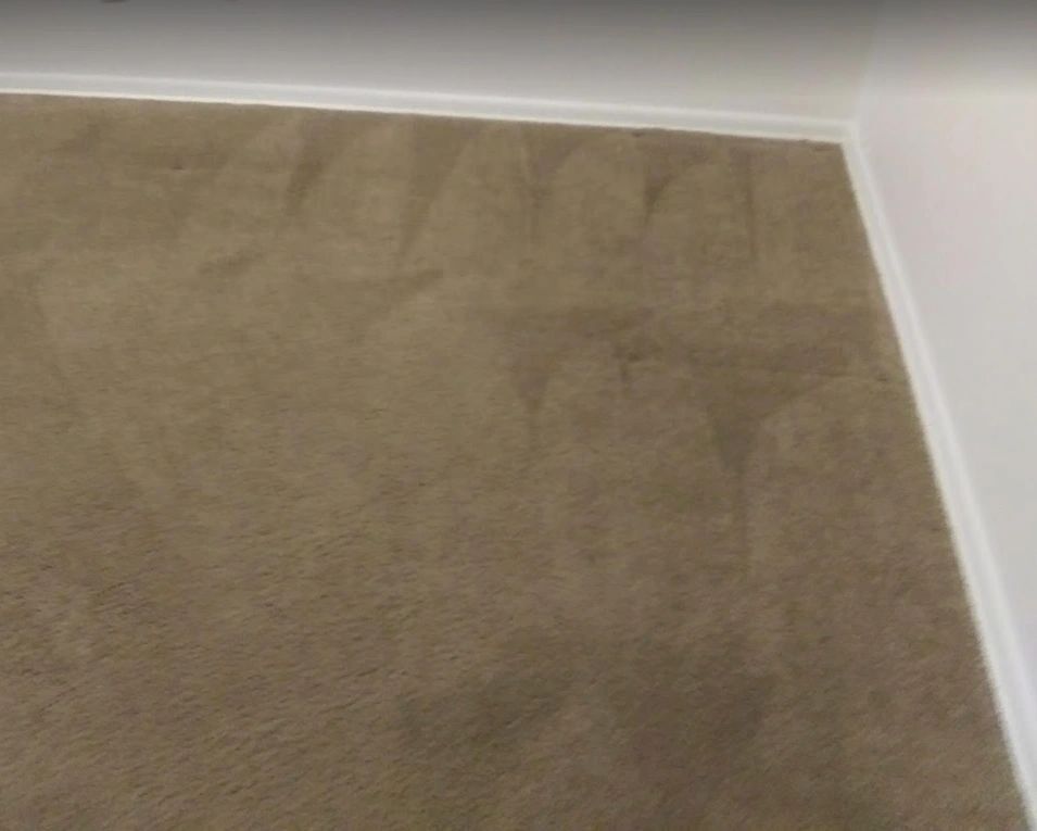 Affordable Columbus Carpet Cleaning