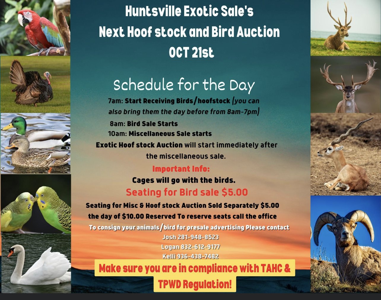Exotic Animal Auction, Alternative Auctions, East Texas Livestock