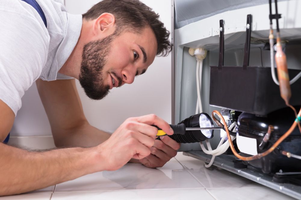 Fisher & Paykel Repair Specialist in Port Macquarie Appliance City