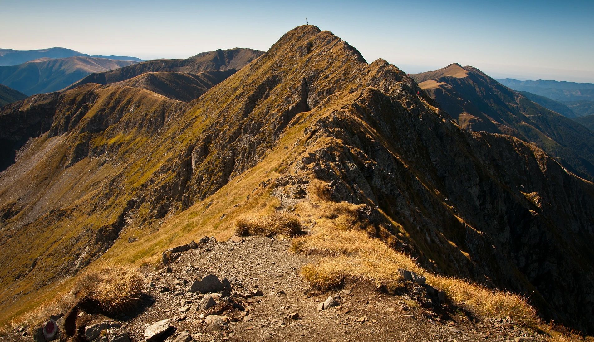 Culbertson Contracting, LLC Hauling & Site Work Contractor