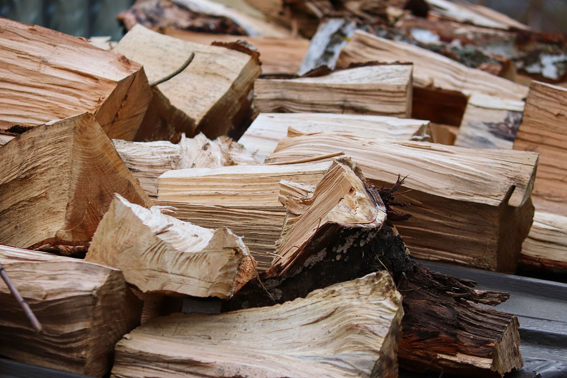 How To Apply and Secure a Firewood Permit in NSW