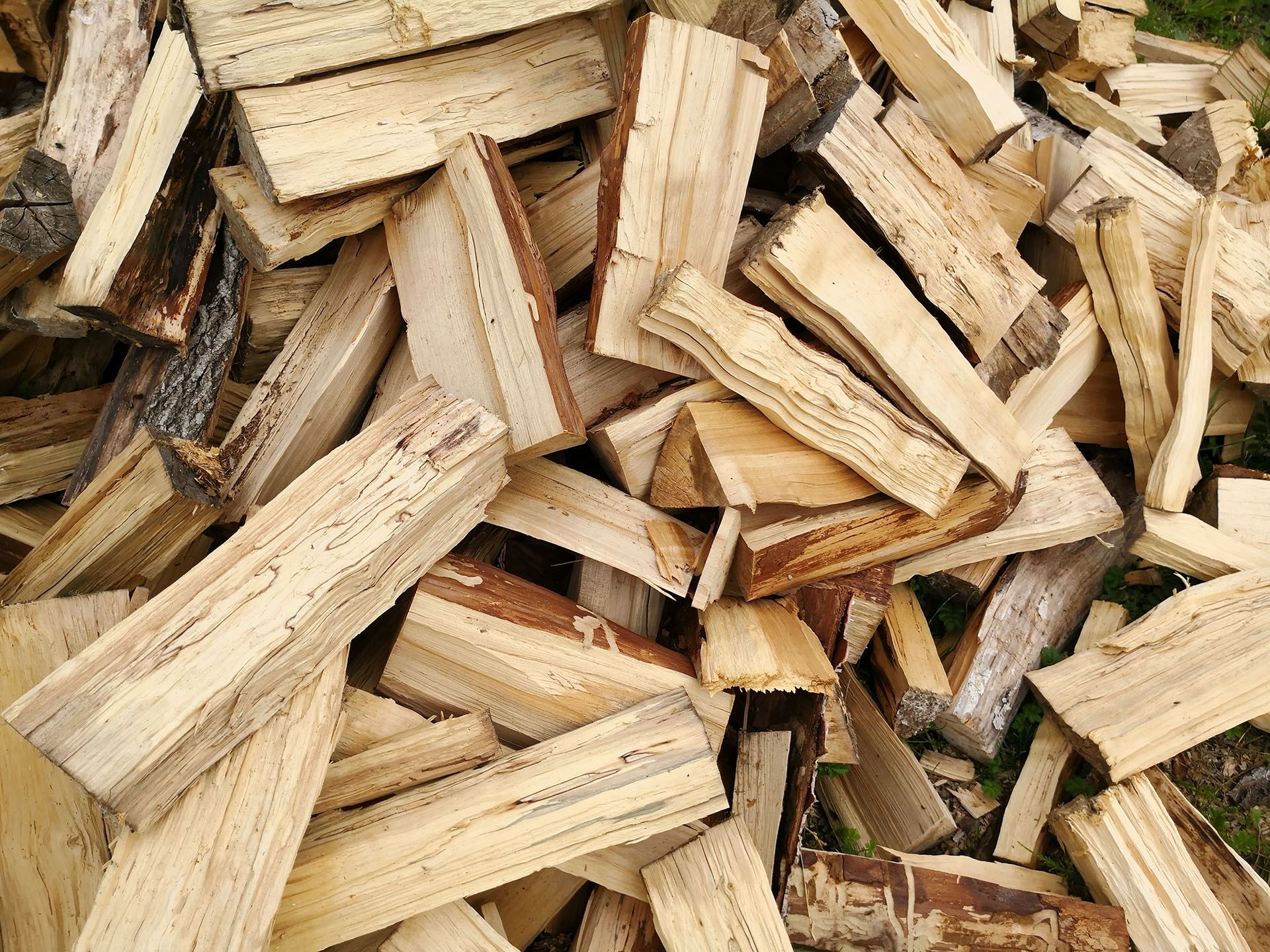 How To Apply and Secure a Firewood Permit in NSW