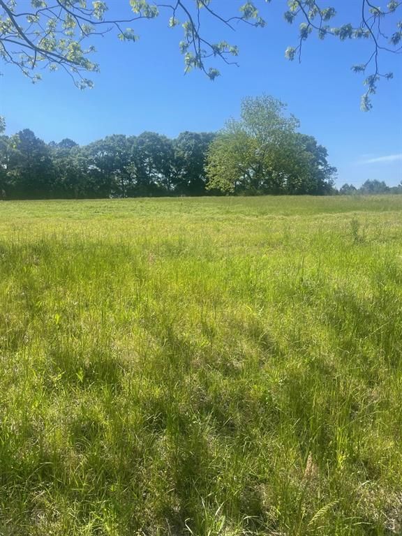 Southern Point Properties Covington County and Opp Real Estate