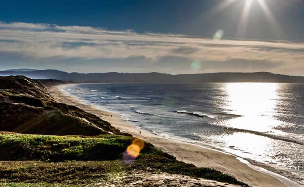 Areas We Serve C&C Property Management