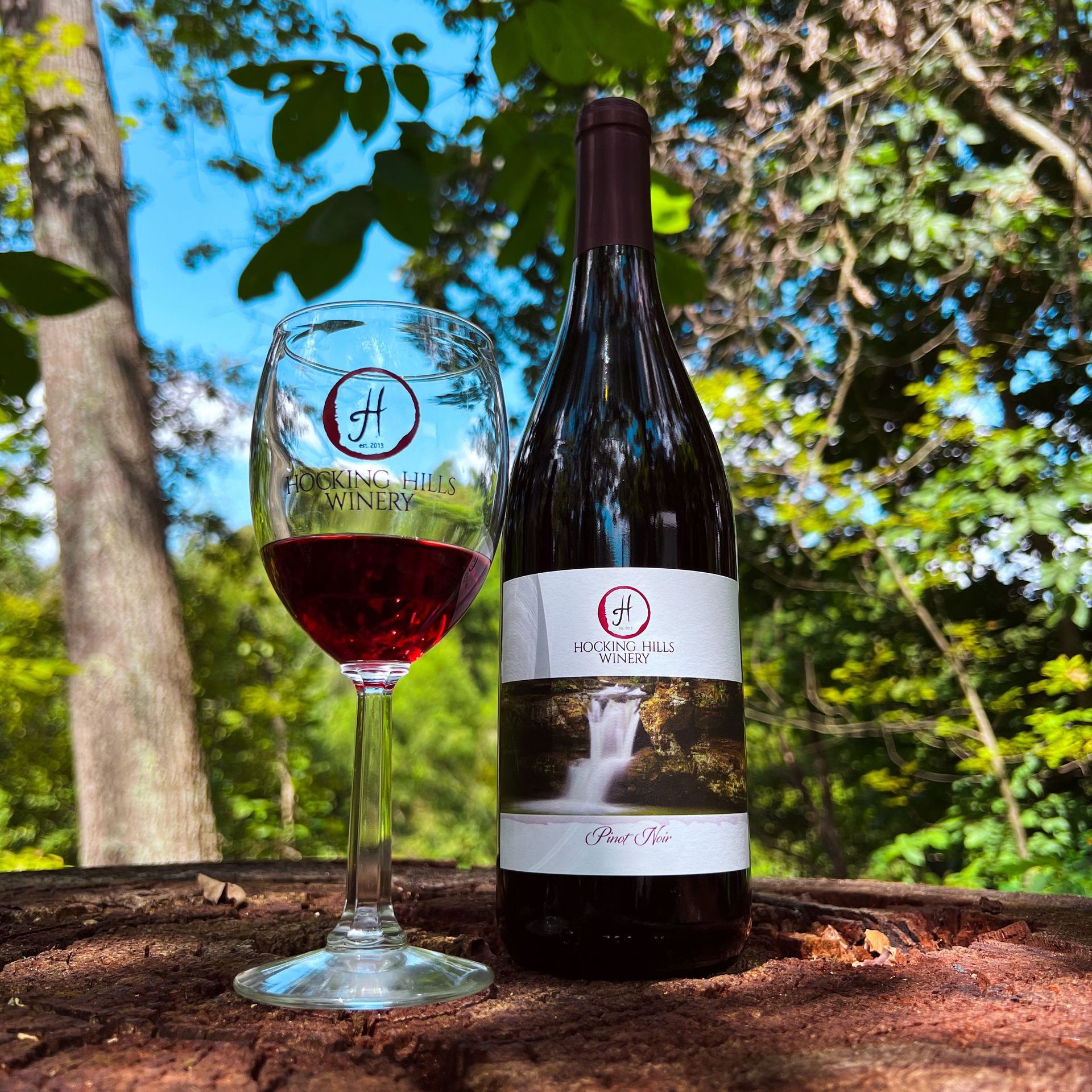 Cookout Recipes & Wine Pairing