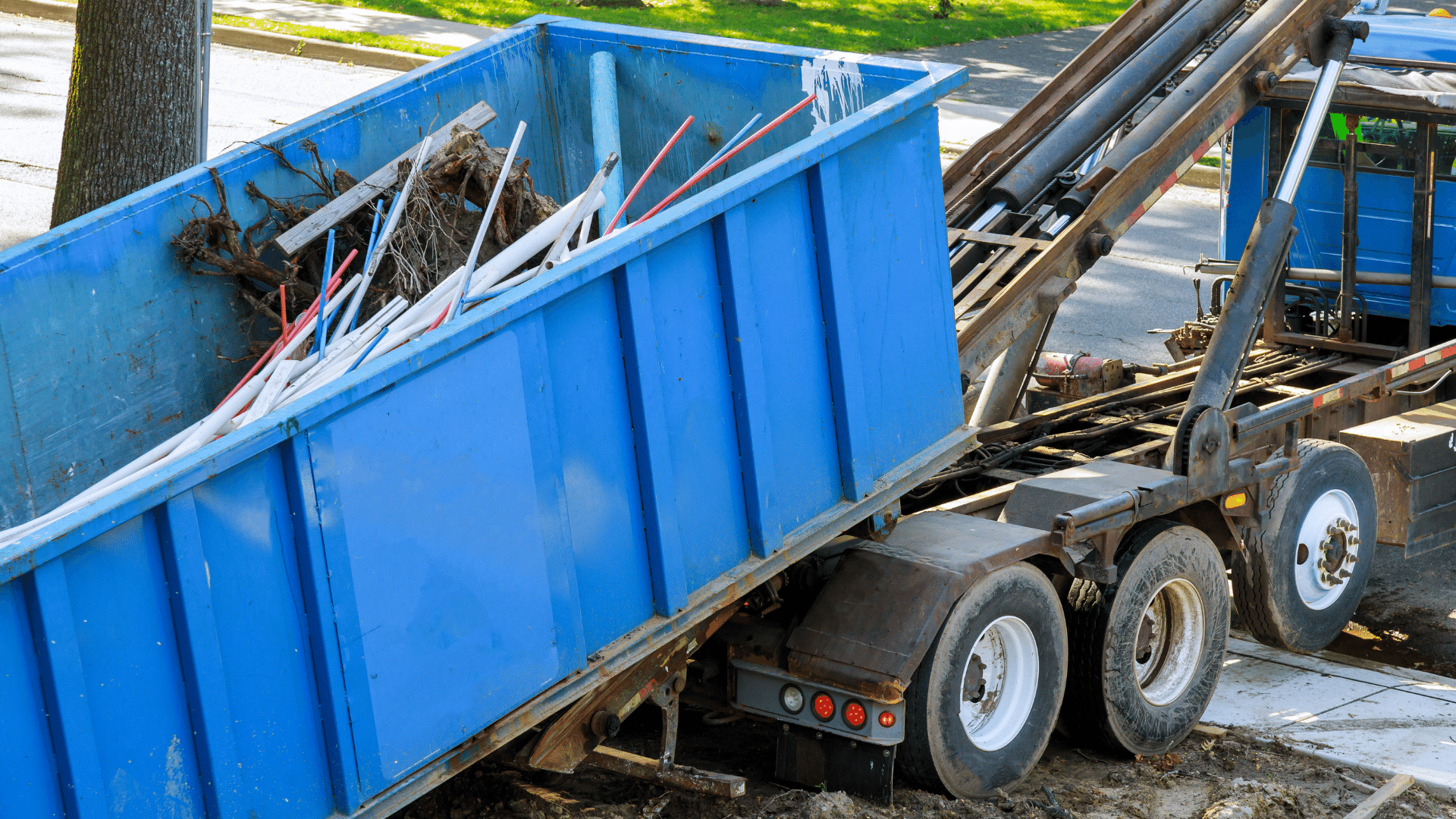 Dumpster Rentals Dumpster Service in Palm Harbor, FL