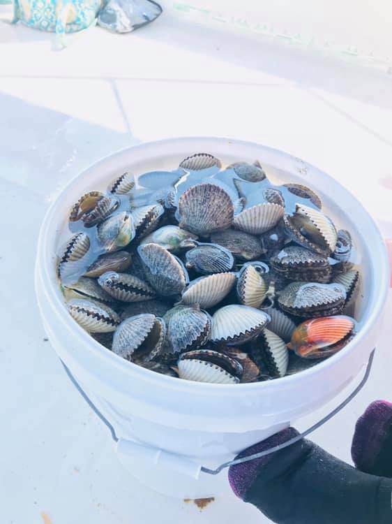 Crystal River Scalloping Charters 2021 Season Book Online