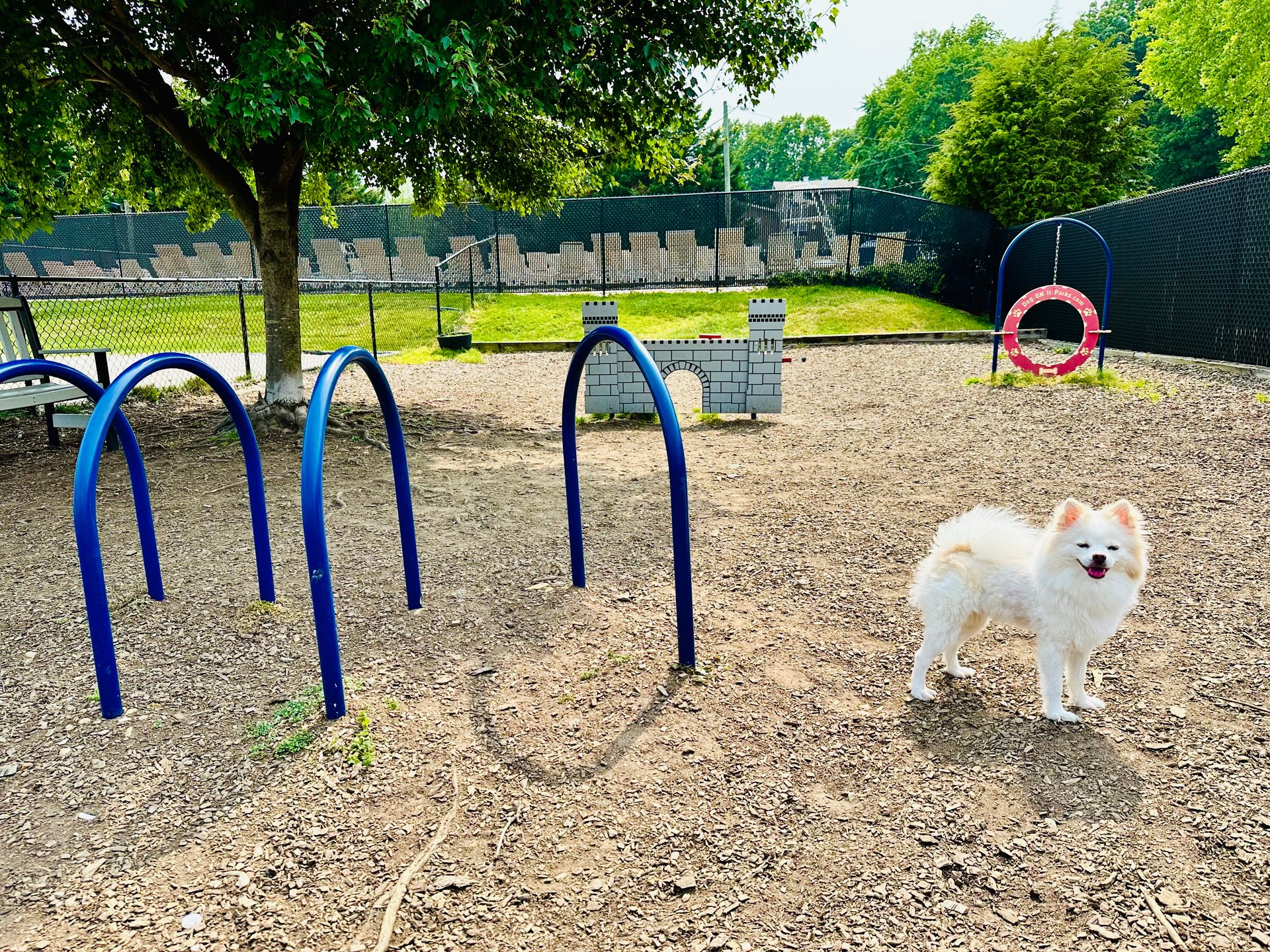 Dolley Madison Apartments at Tyson McLean Apartments