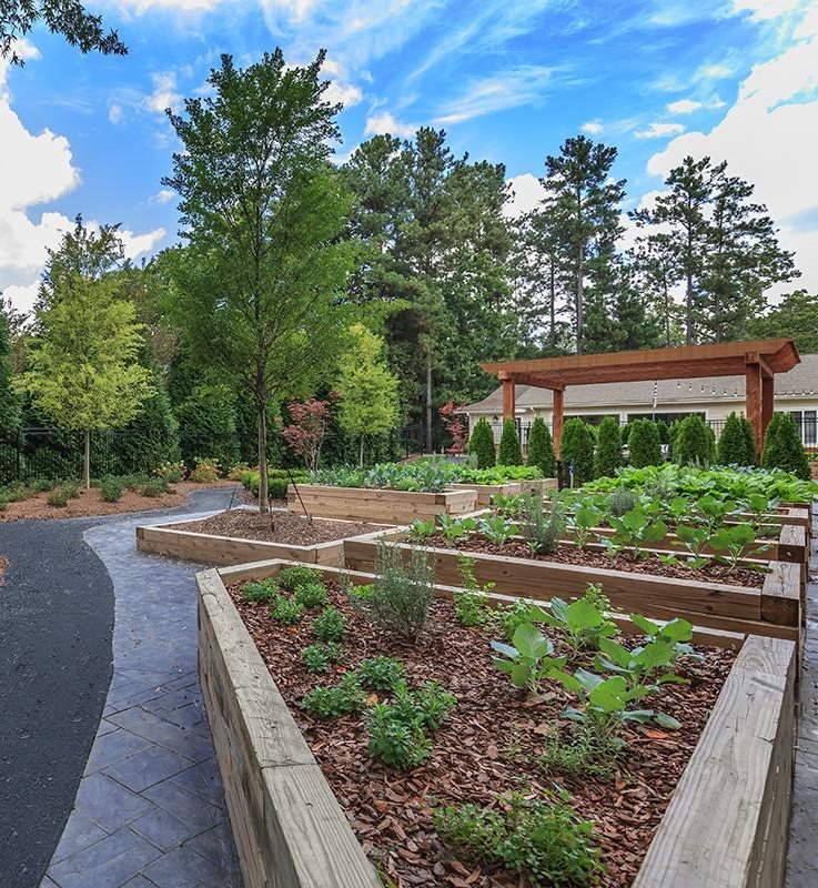 Forest Ridge on Terrell Mill Apartments in Marietta, GA