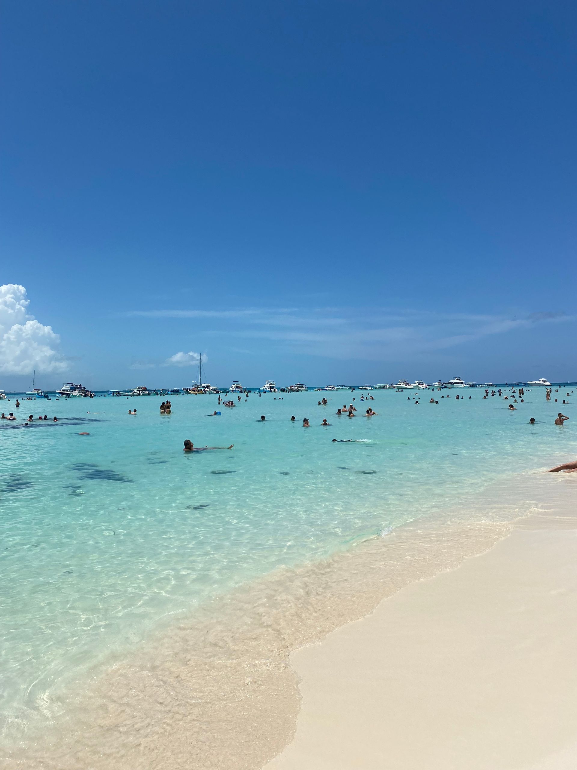 Isla Mujeres vs Isla Holbox Which One Is Better for You? 🌴