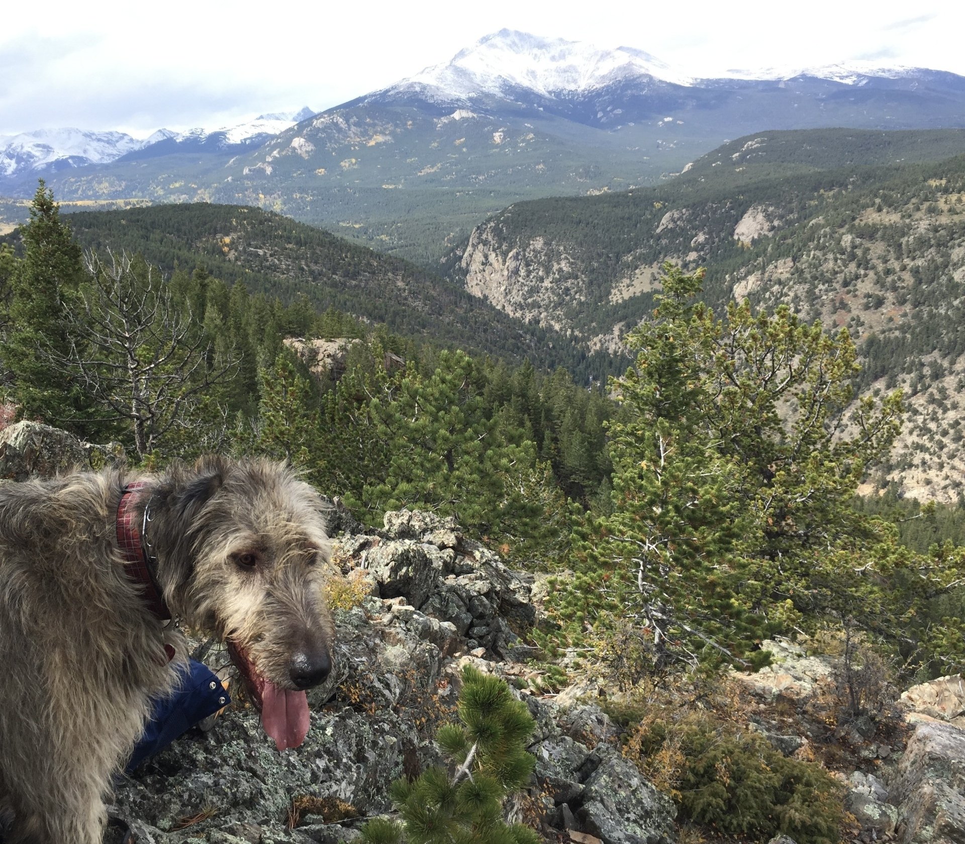 Full Gallery Sunshine Mountain Lodge, Allenspark, Colorado