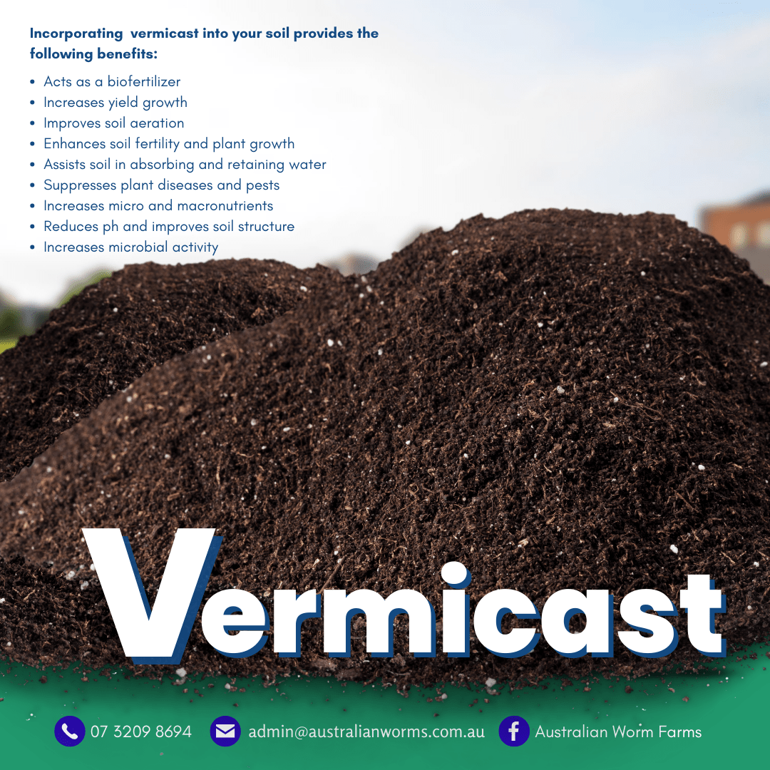 Australian Worm Farms PTY LTD Australian Worms