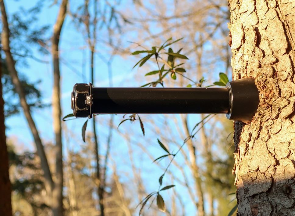 Tree Service Waco Free Estimates, Affordable Pricing