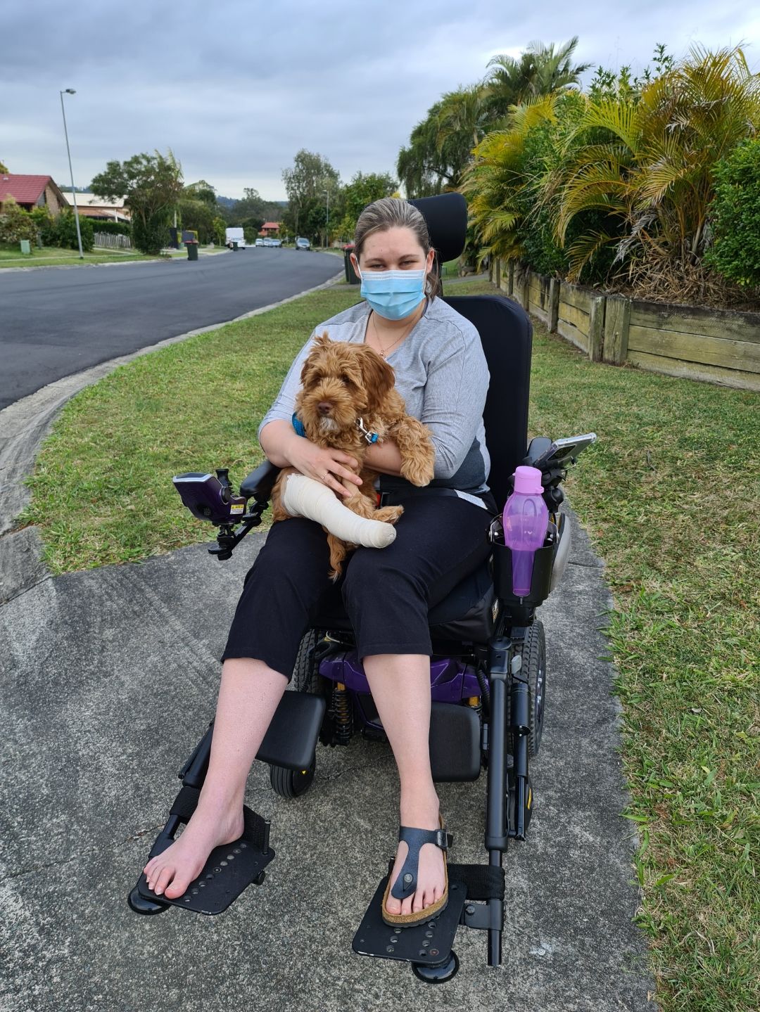 Assistance Dog Australia Misty Mountain Labradoodles
