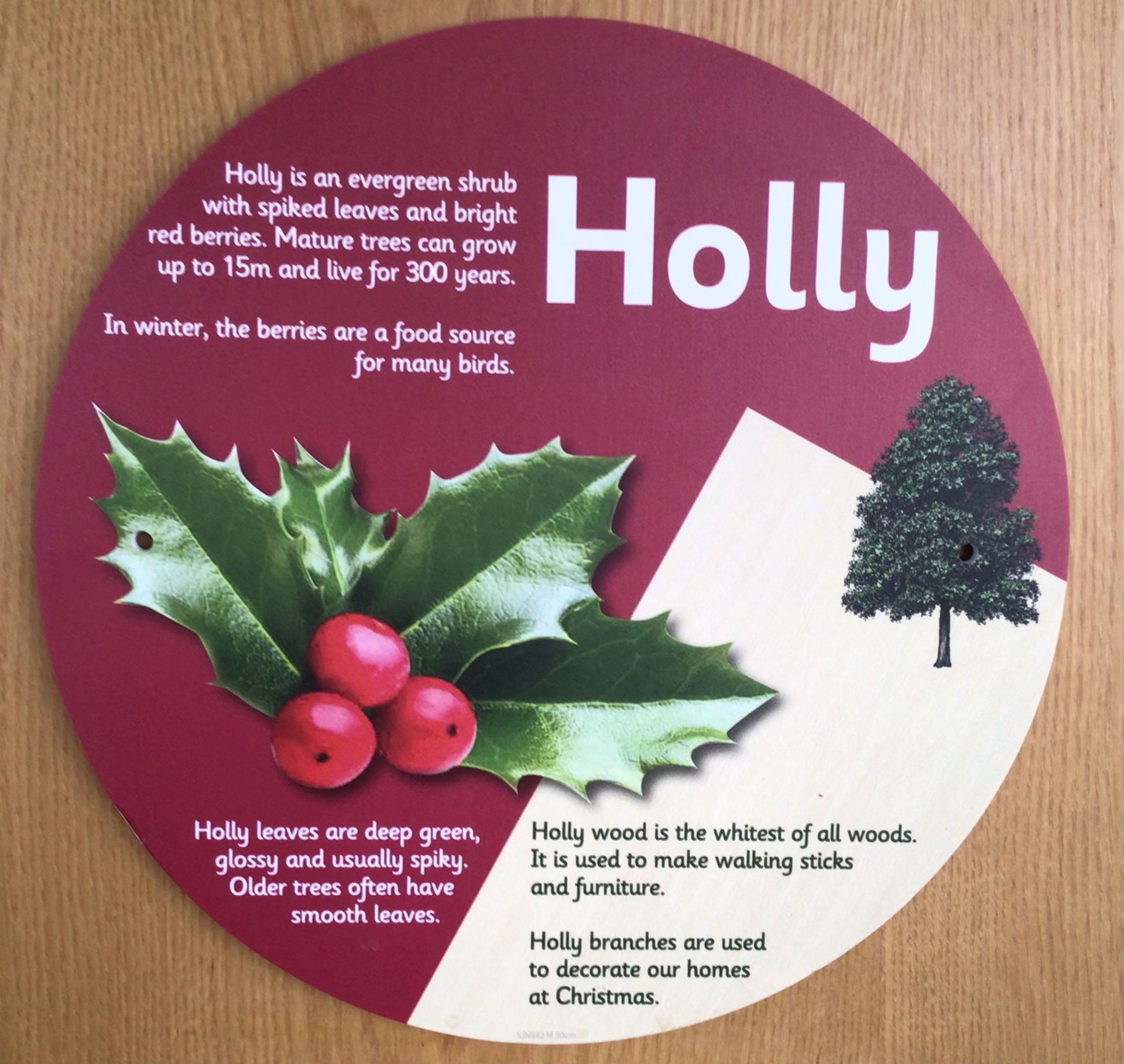 Hudson Primary School Maghull