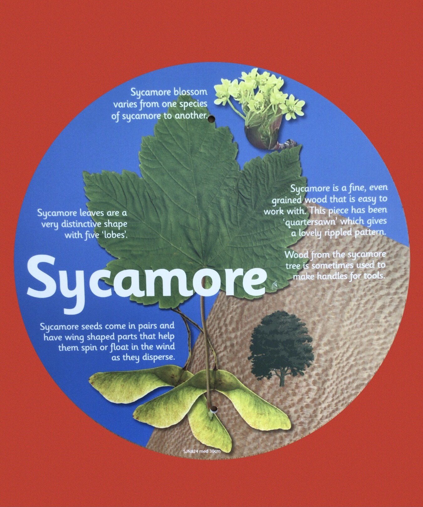 Hudson Primary School Maghull