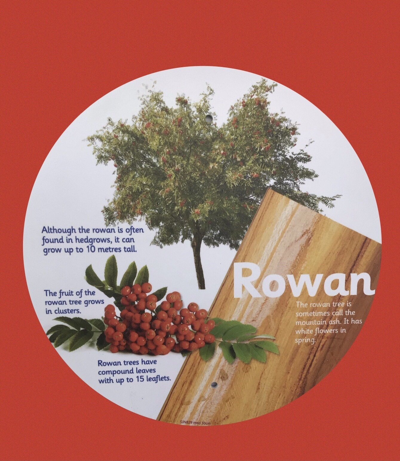 Hudson Primary School Maghull