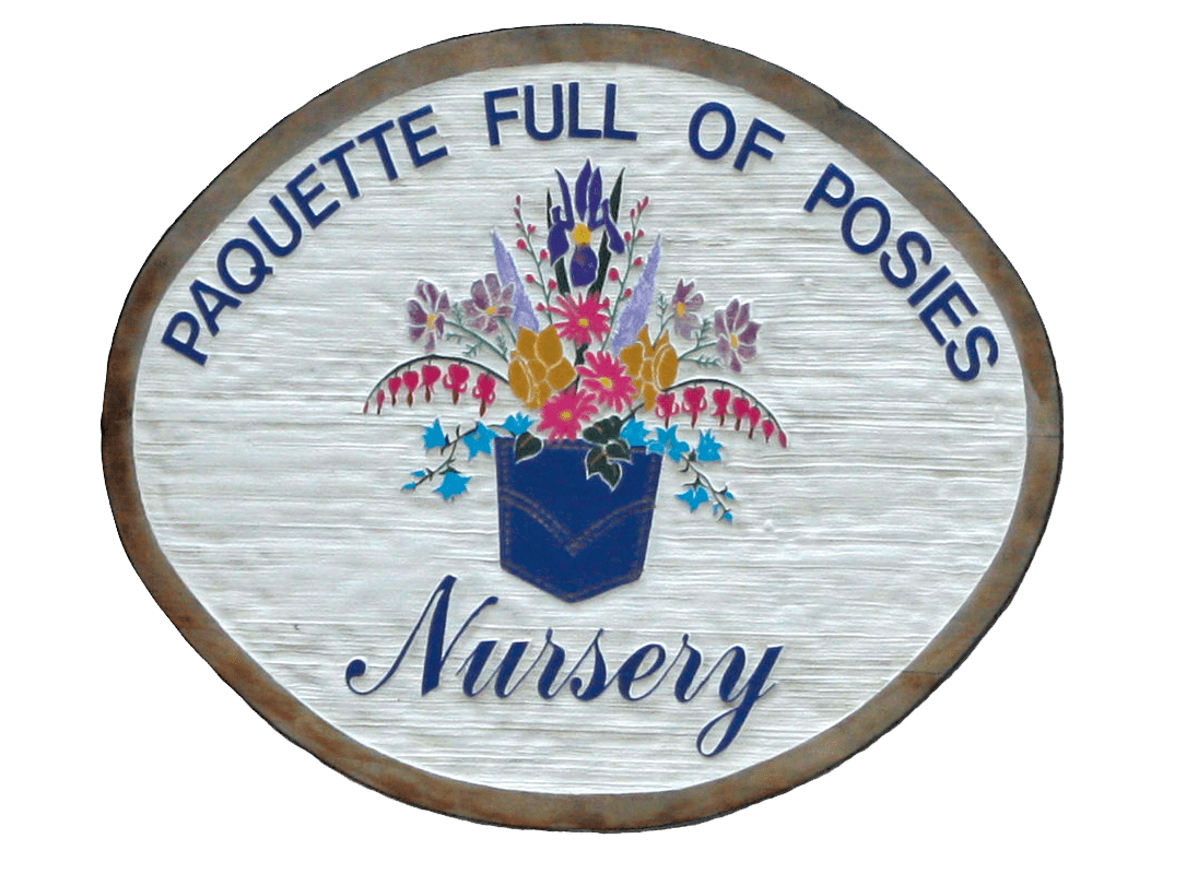 Plant Nursery Williston, VT Paquette Full of Posies