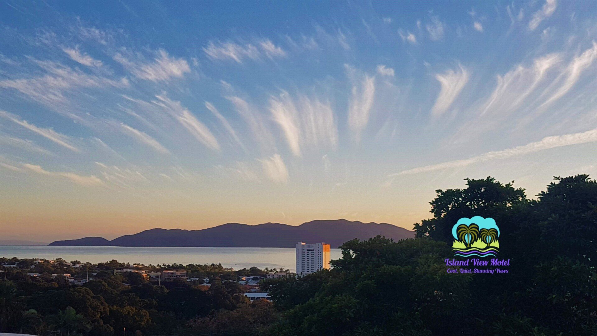 Pet Friendly in Townsville Motel Rooms