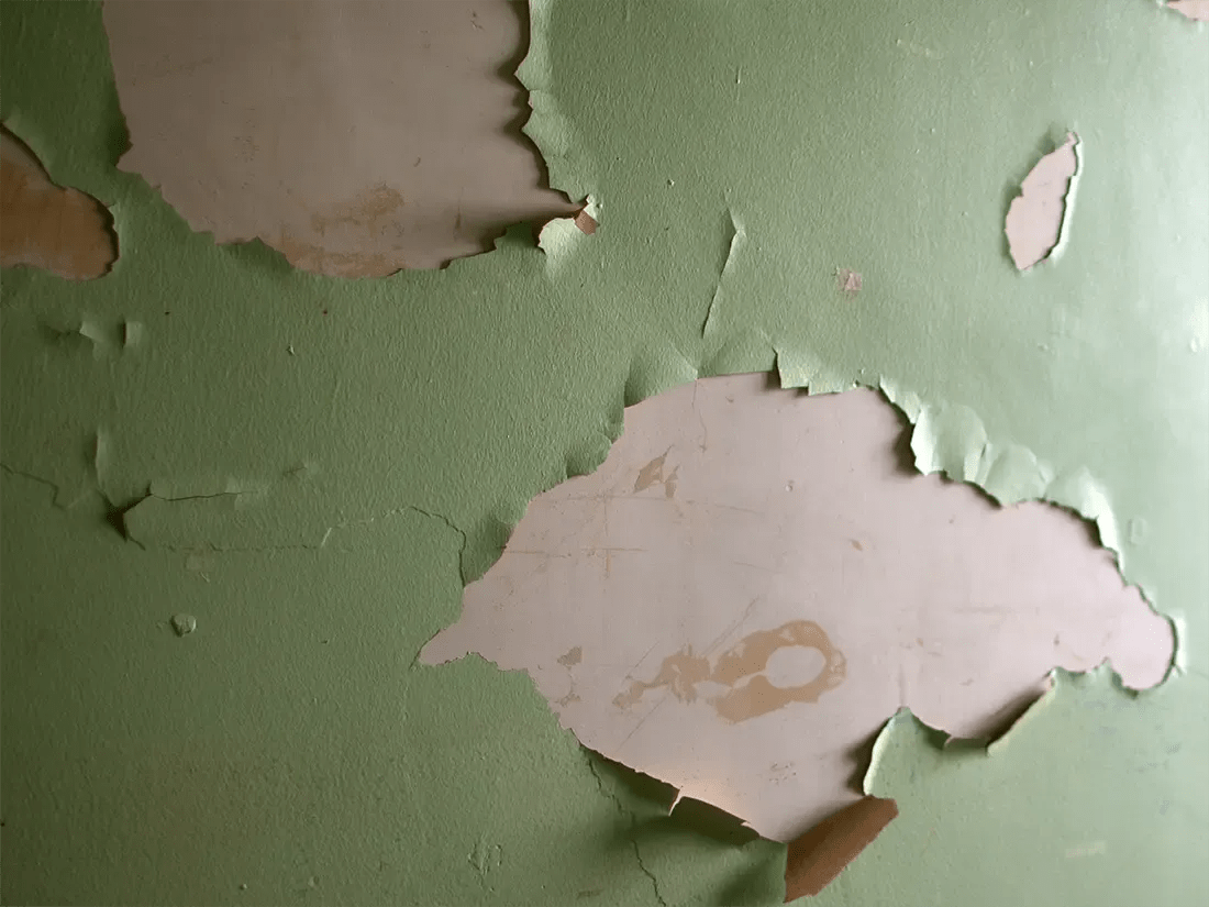 Understanding New Jersey's LeadBased Paint Regulations Ensuring