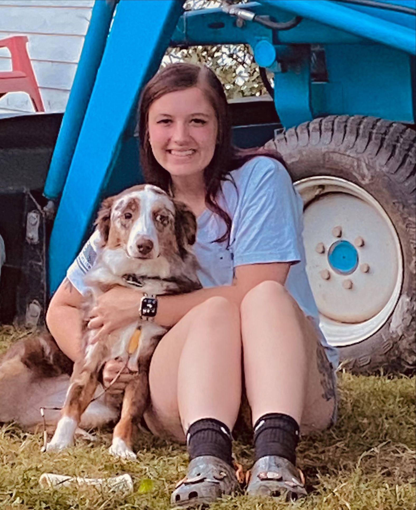 Pet Care Specialists Elyria, OH Elyria Animal Hospital