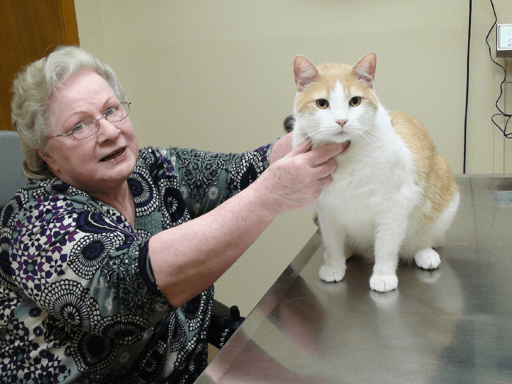 Our Happy Pets Gallery Elyria, OH Elyria Animal Hospital