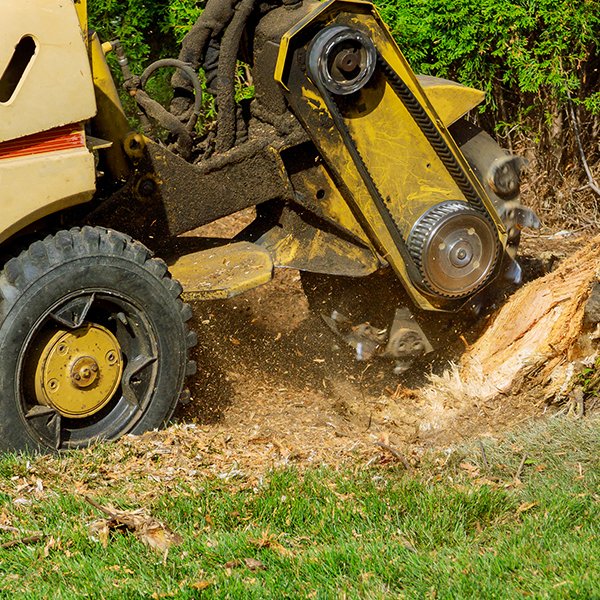 Lawn & Tree Services Mr. Green Jeans Lawn Service & Tree