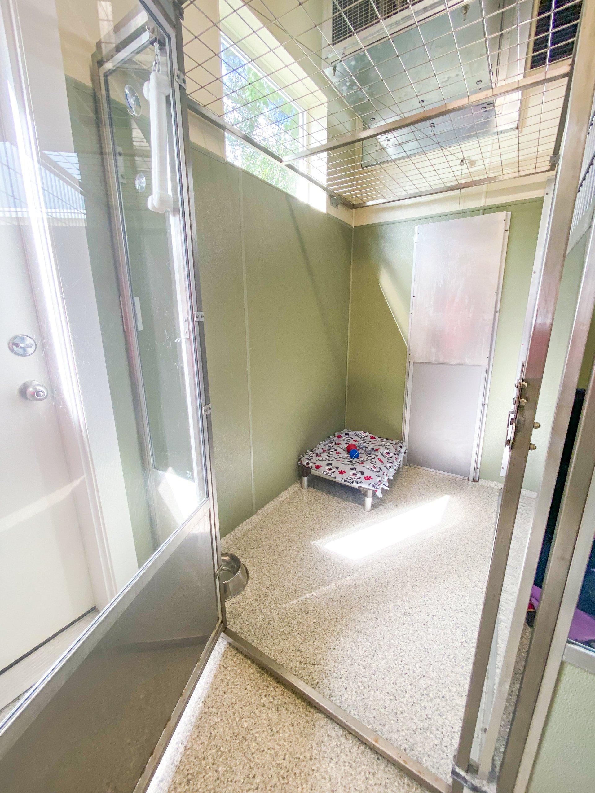 Dog Kennels Wilmington, NC The Diggs at Paws & Claws