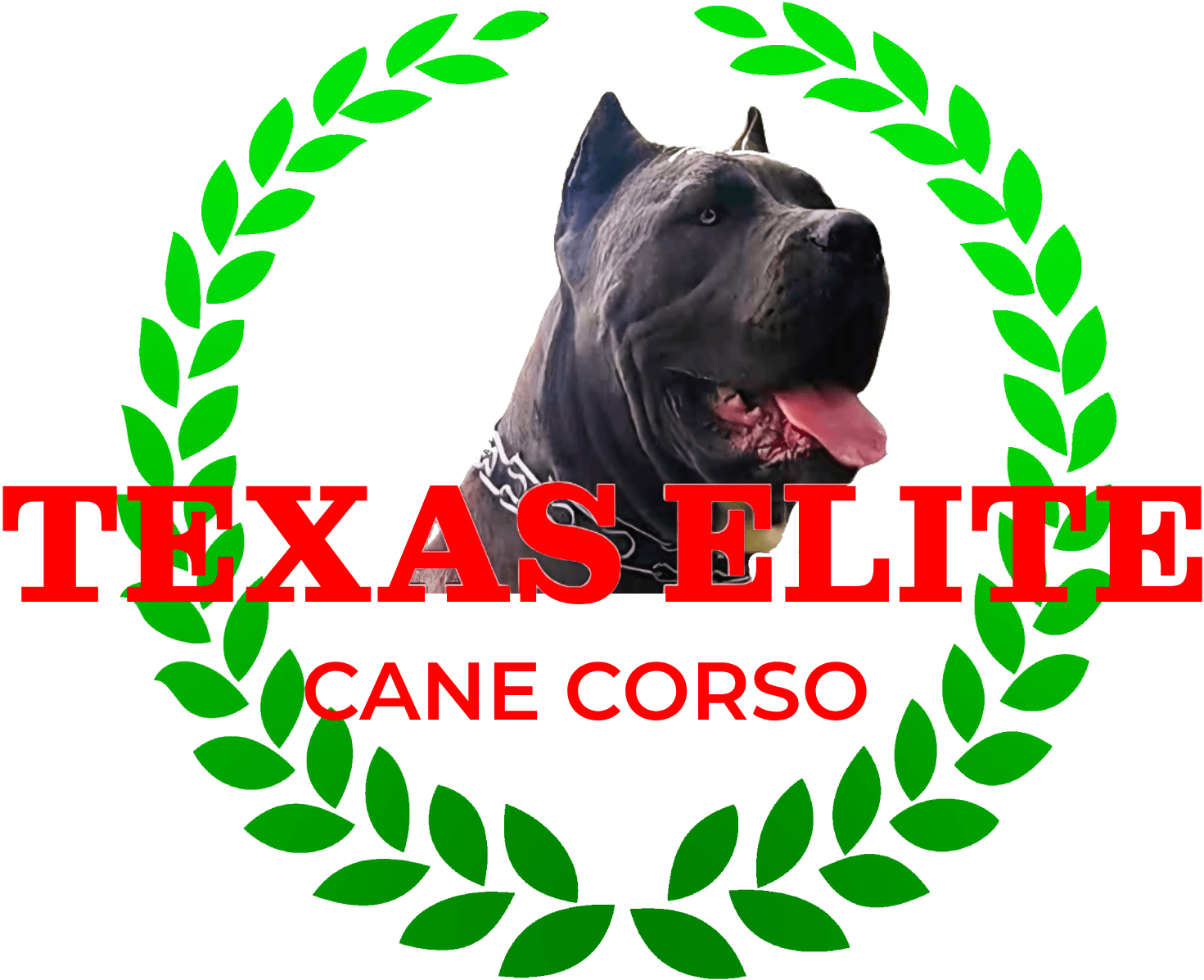 Dog Breeder Nationwide 4099889131