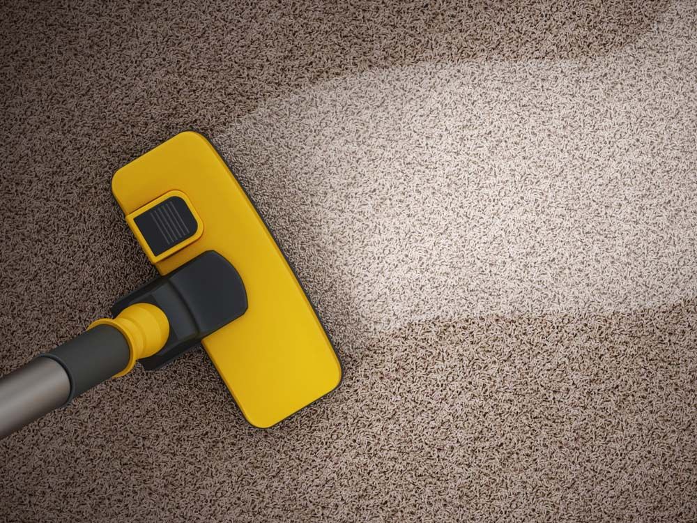 Premium Carpet Cleaning Cleaner in Cairns