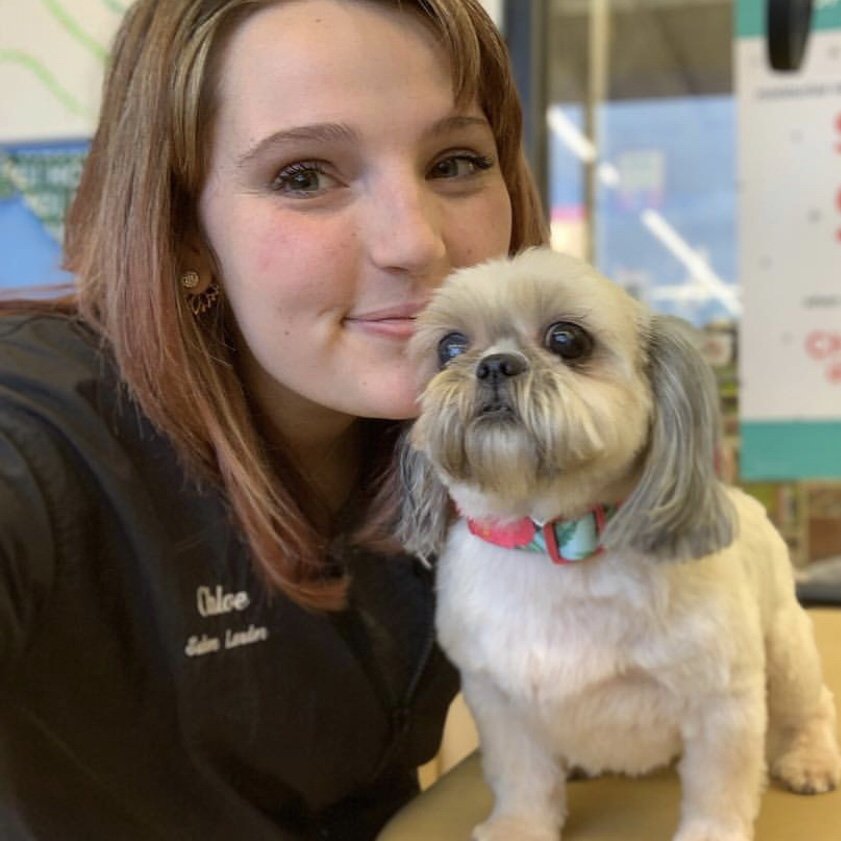 Meet the Staff of Professionals at Milton Manor Pet Spa & Boarding near