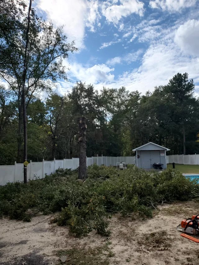 Holladay's Land And Tree Service LLC Top Rated Landscaper Lexington