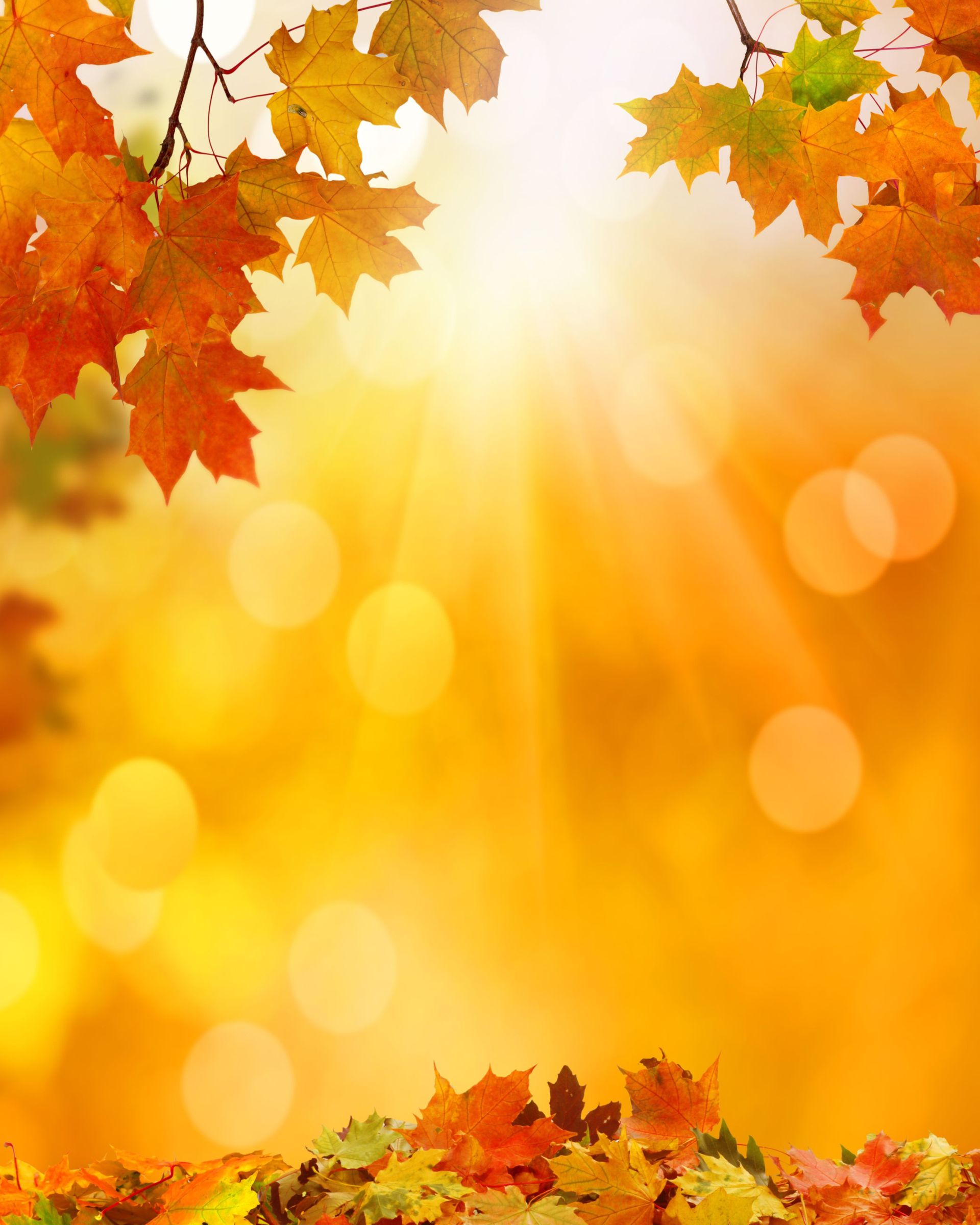 View Backgrounds School Craft Studios Sparta NJ