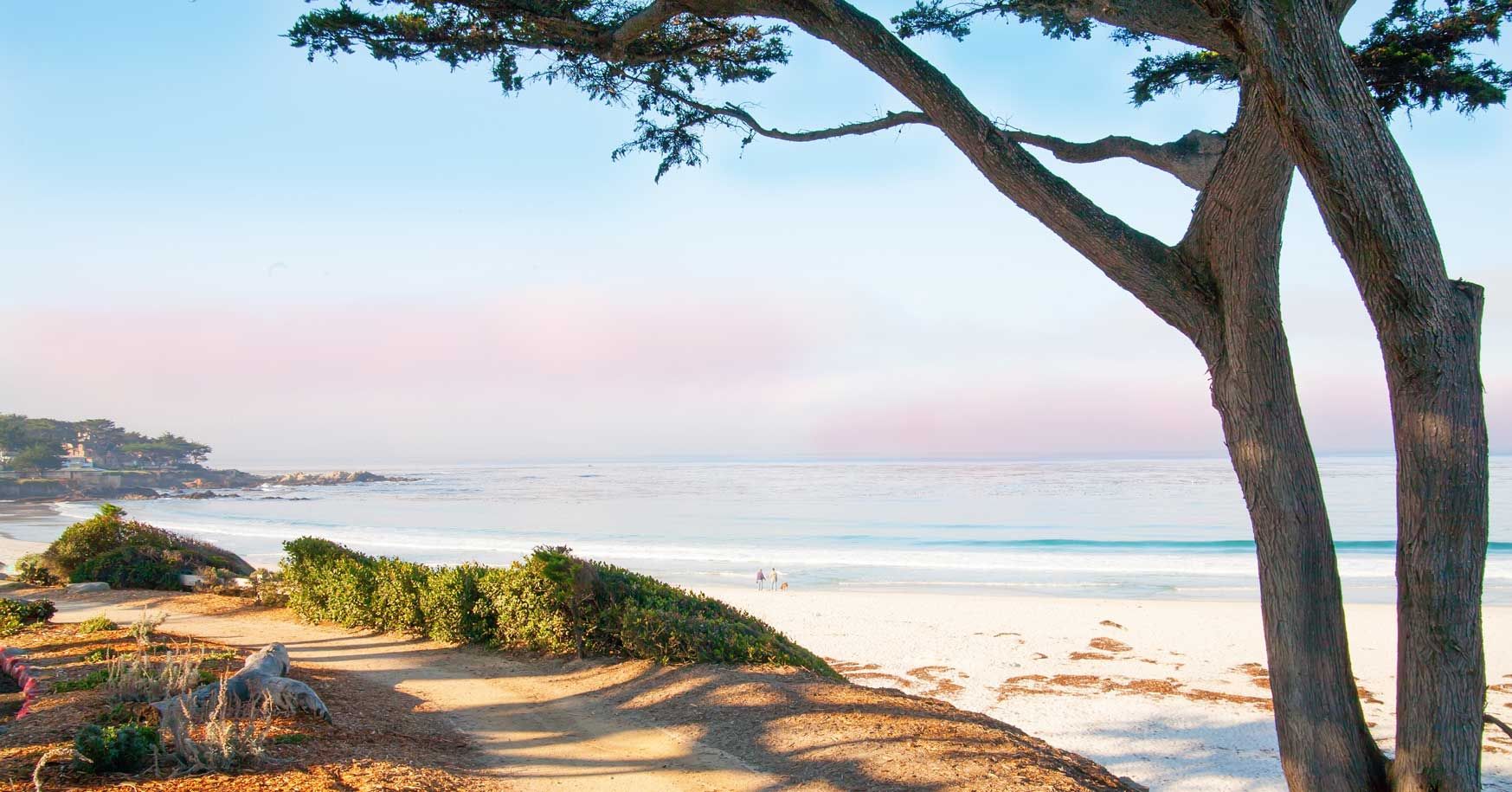 Monterey Bay Area, CA Rheumatology300k + bonuses, PSLF job in California