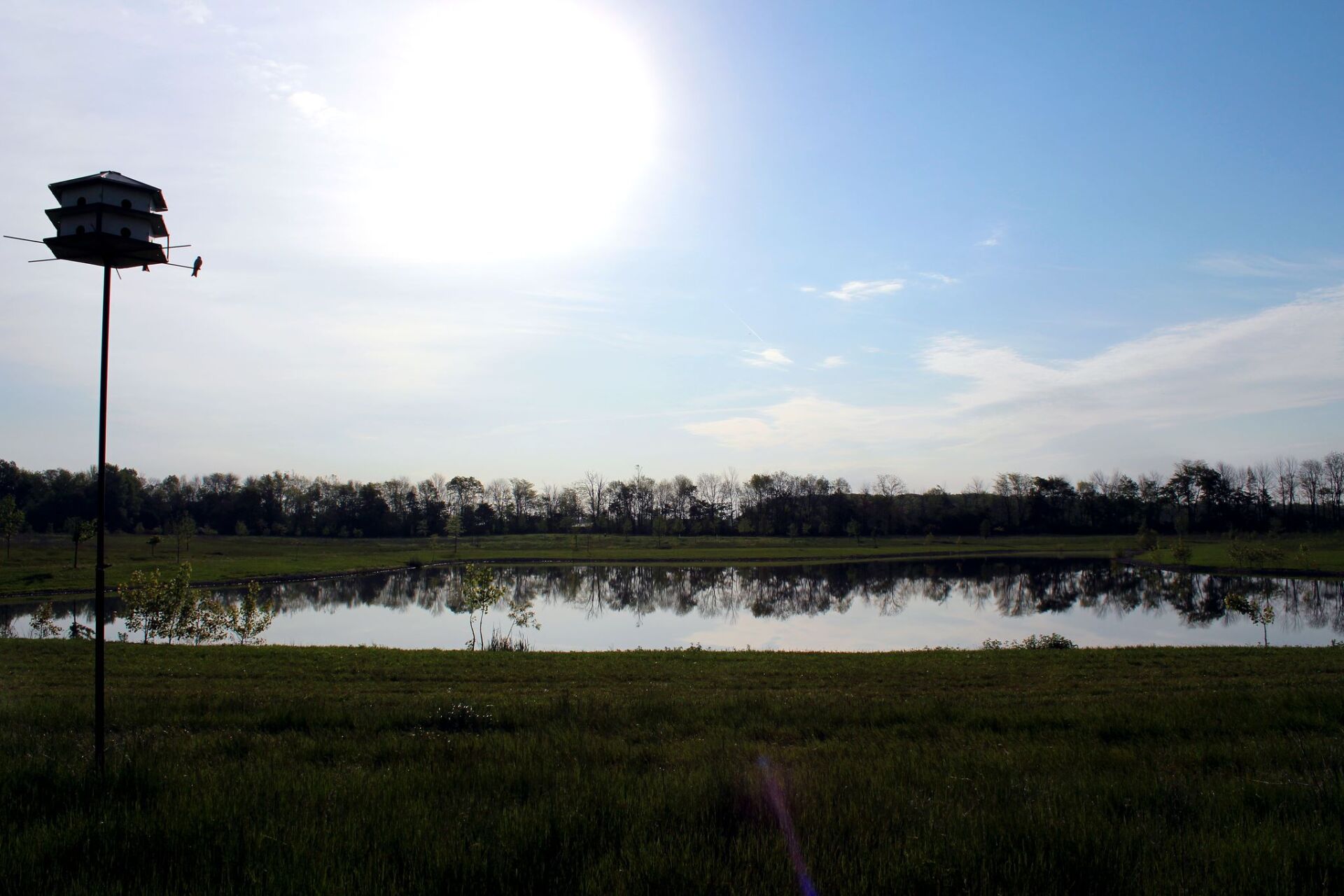 Home The New Bremen Foundation