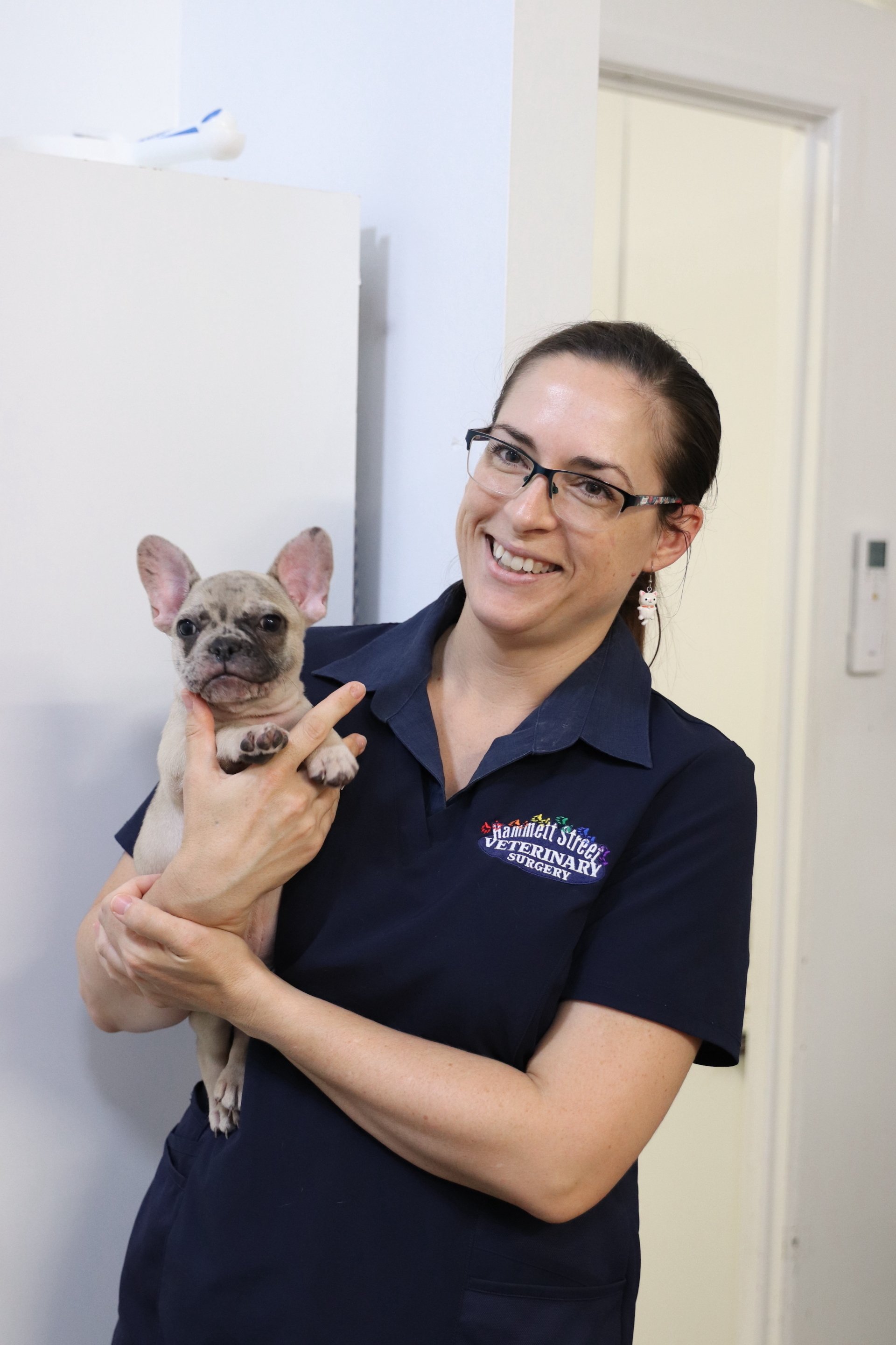 Hammett Street Veterinary Surgery Vet Clinic in Townsville