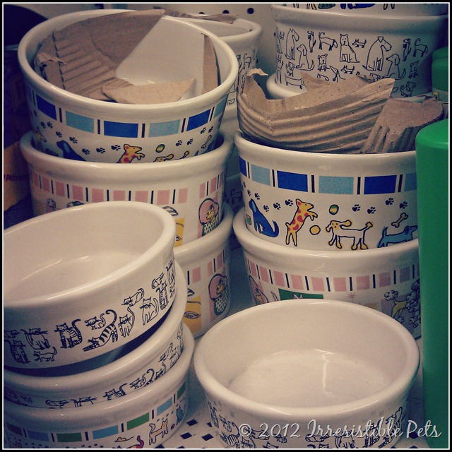 Irresistible Finds Dollar Tree Pet Supplies Irresistible Pets