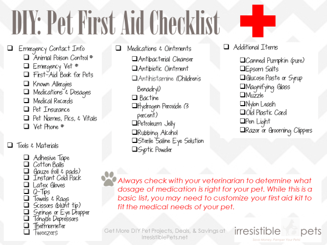 Giveaway DIY Pet First Aid Kit From Qtips & Irresistible Pets