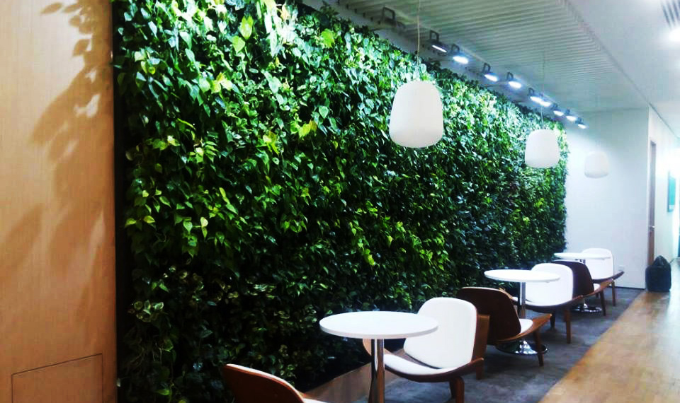Green Wall Installation Malaysia Best Installation Service