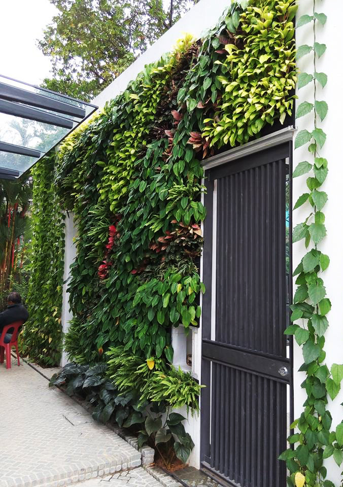 Outdoor Vertical Garden Malaysia Good Natural Heat Shield