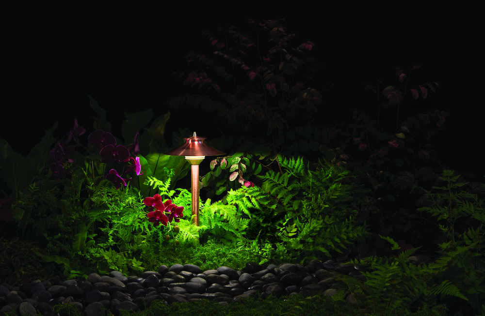 Éclairage Irrigation proplus et fils