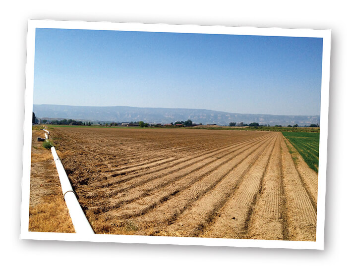 Keeping the Colorado flowing Irrigation Today