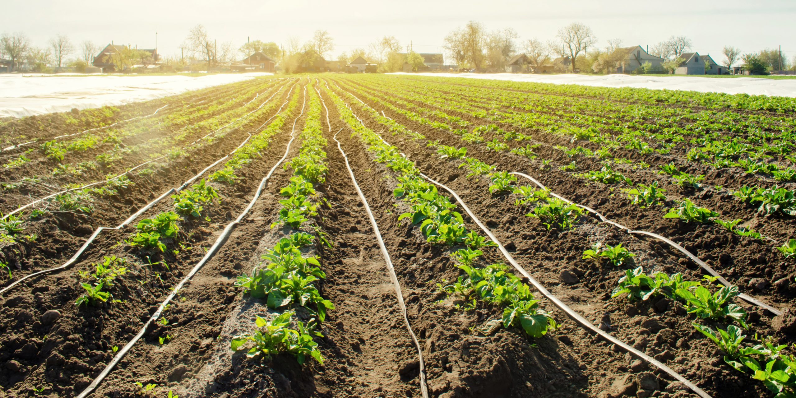 Does the soil composition affect our drip irrigation system