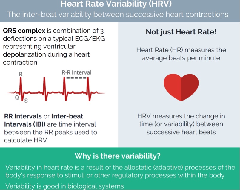 What the Heck is Heart Rate Variability? iRunFar