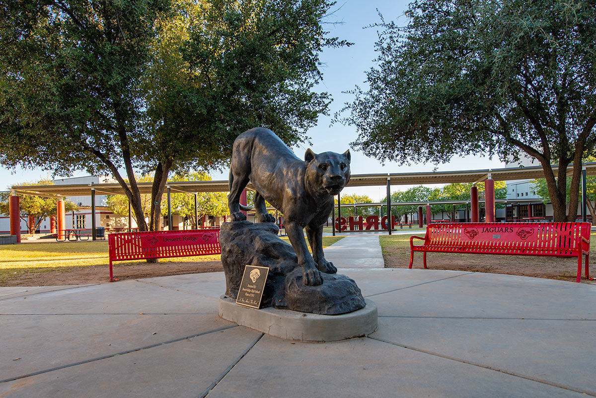 Homes For Sale Near Desert Ridge High School at Randy Hansen blog