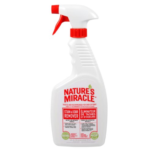 >Best Sellers Nature’s Miracle Stain & Odor Remover 24oz My Blog