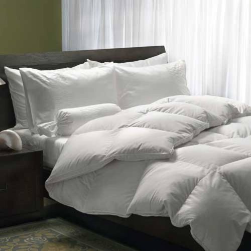 *Cheap Signature D32B2N9623 European White Goose Down Queen Comforter