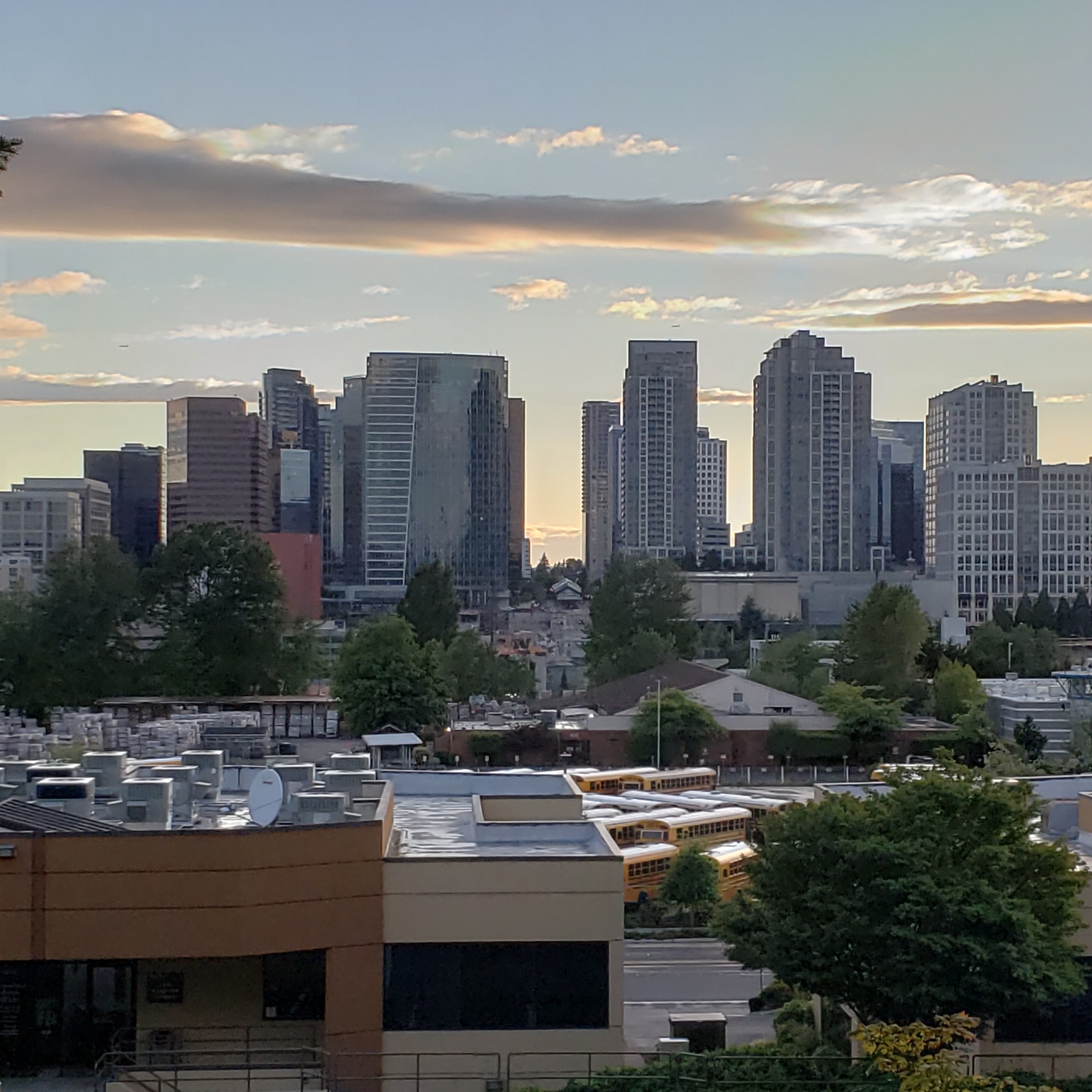 Cityscape, Bellevue (see pics & AVAIL)