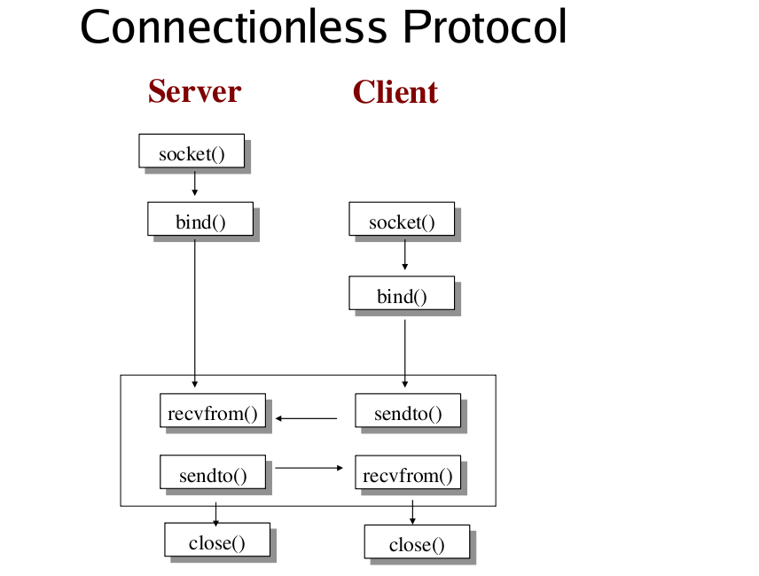 Introduction to Socket Programming Bits ^ Pieces