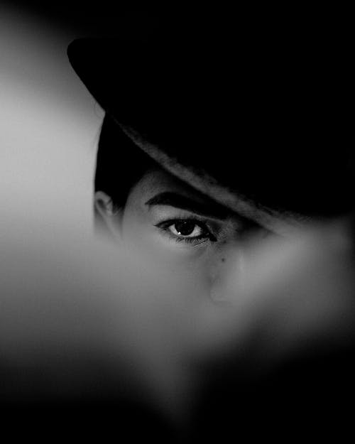 Hiding Your Face From Observation Cameras Isaac's science blog